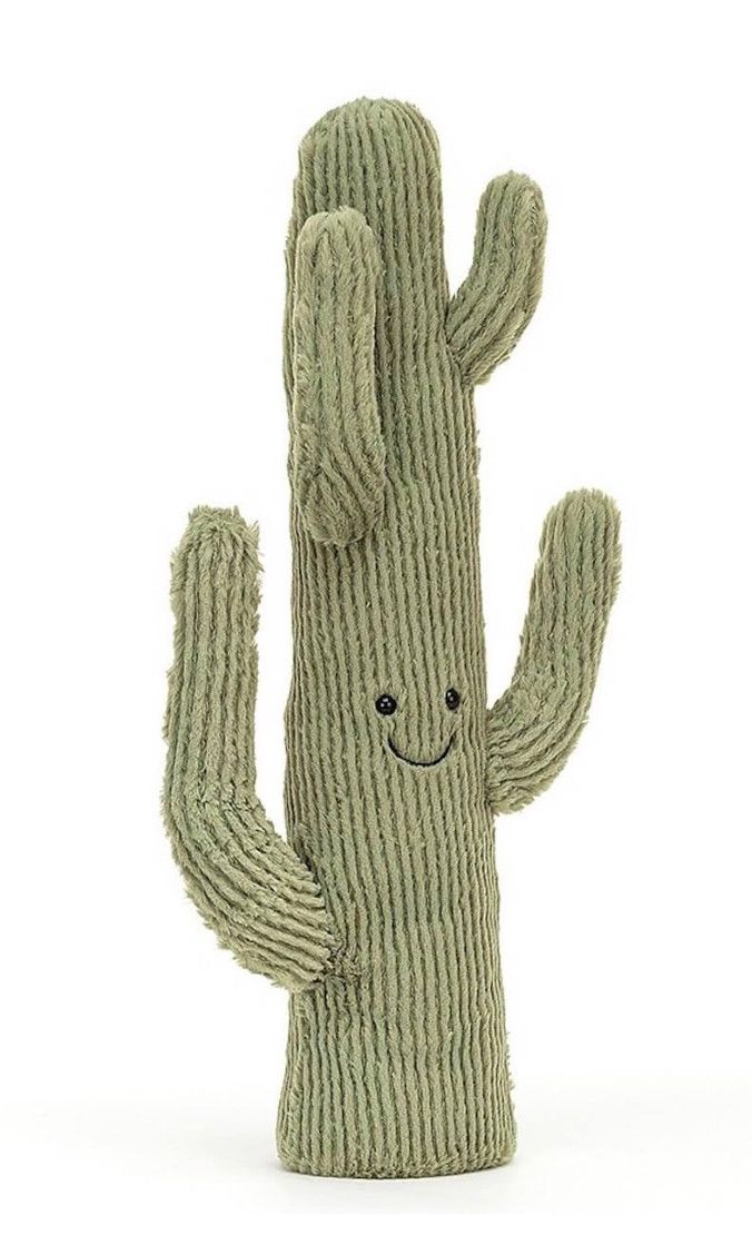 Amuseable Desert Cactus, Size: Small