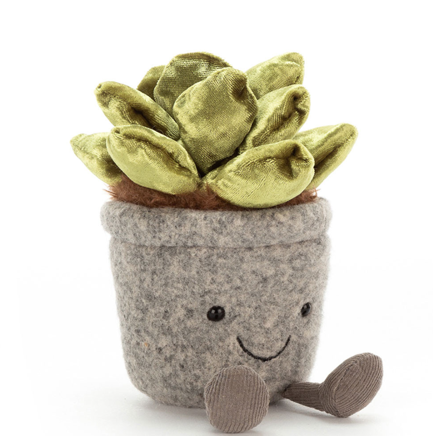Silly Succulent Jade