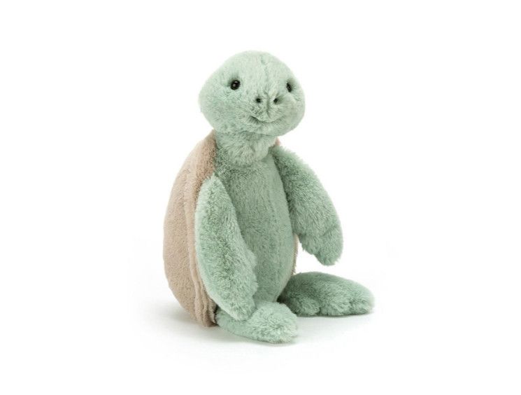 Bashful Turtle, Size: Small