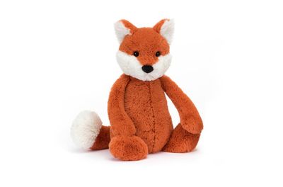 Bashful Fox Cub