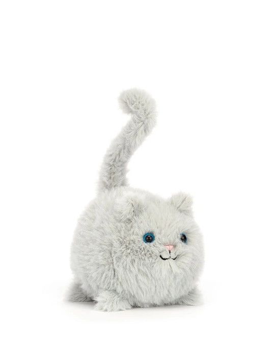 Kitten Caboodle Grey