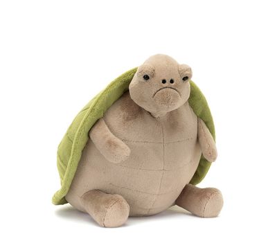Timmy Turtle