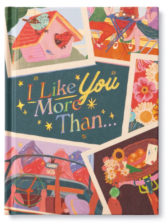 I Like You More Than Book