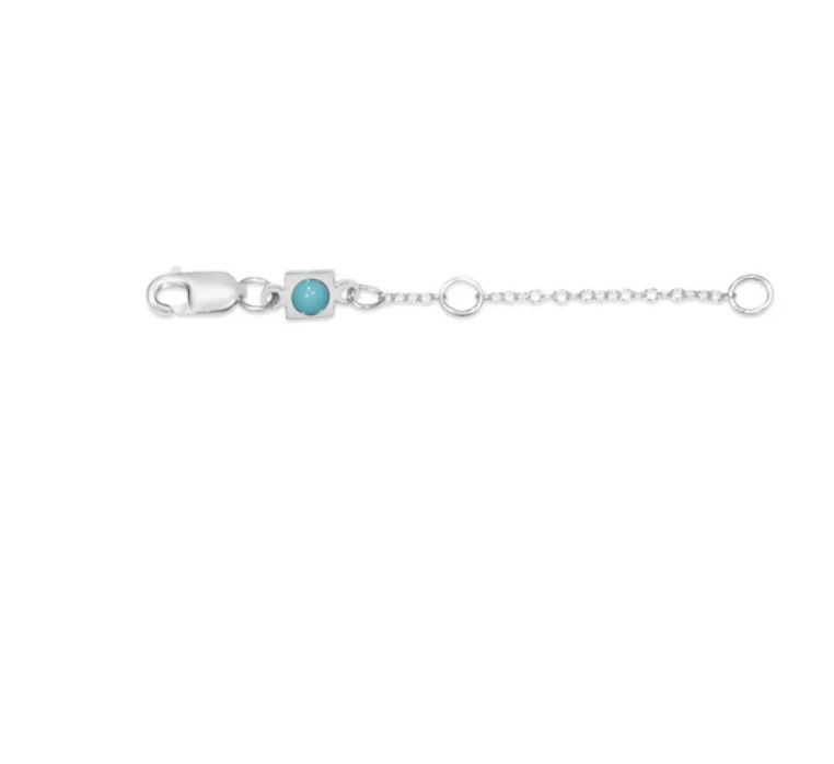 Enewton 2&quot; Necklace Extender, Color: Silver