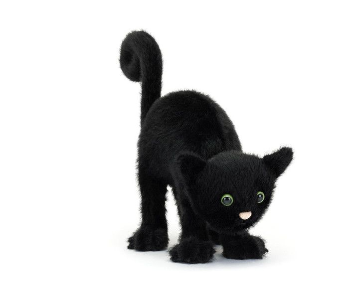 Spookipaws Cat, Size: Original