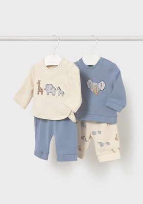 Blue Bell Zoo Animals Knit Set