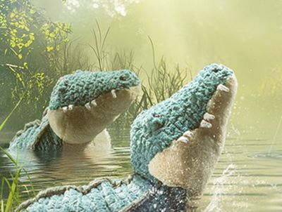 Amphibians &amp; Reptiles