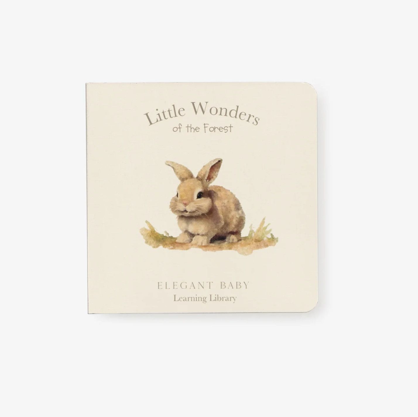 Little Wonders Forest Book