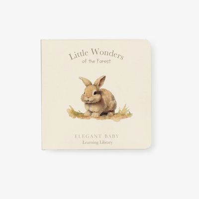 Little Wonders Forest Book