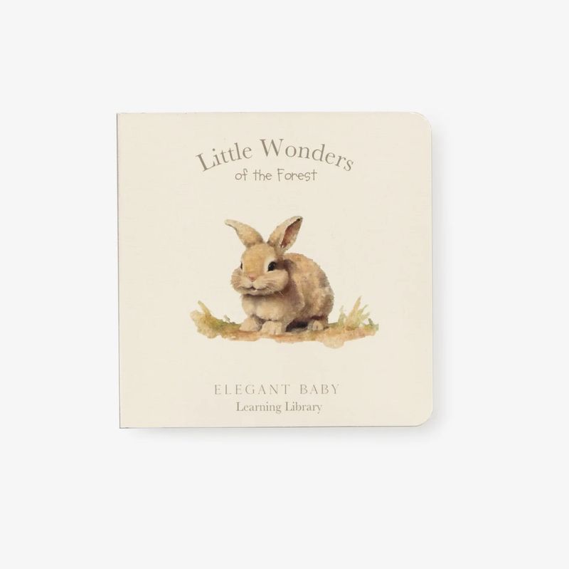 Little Wonders Forest Book