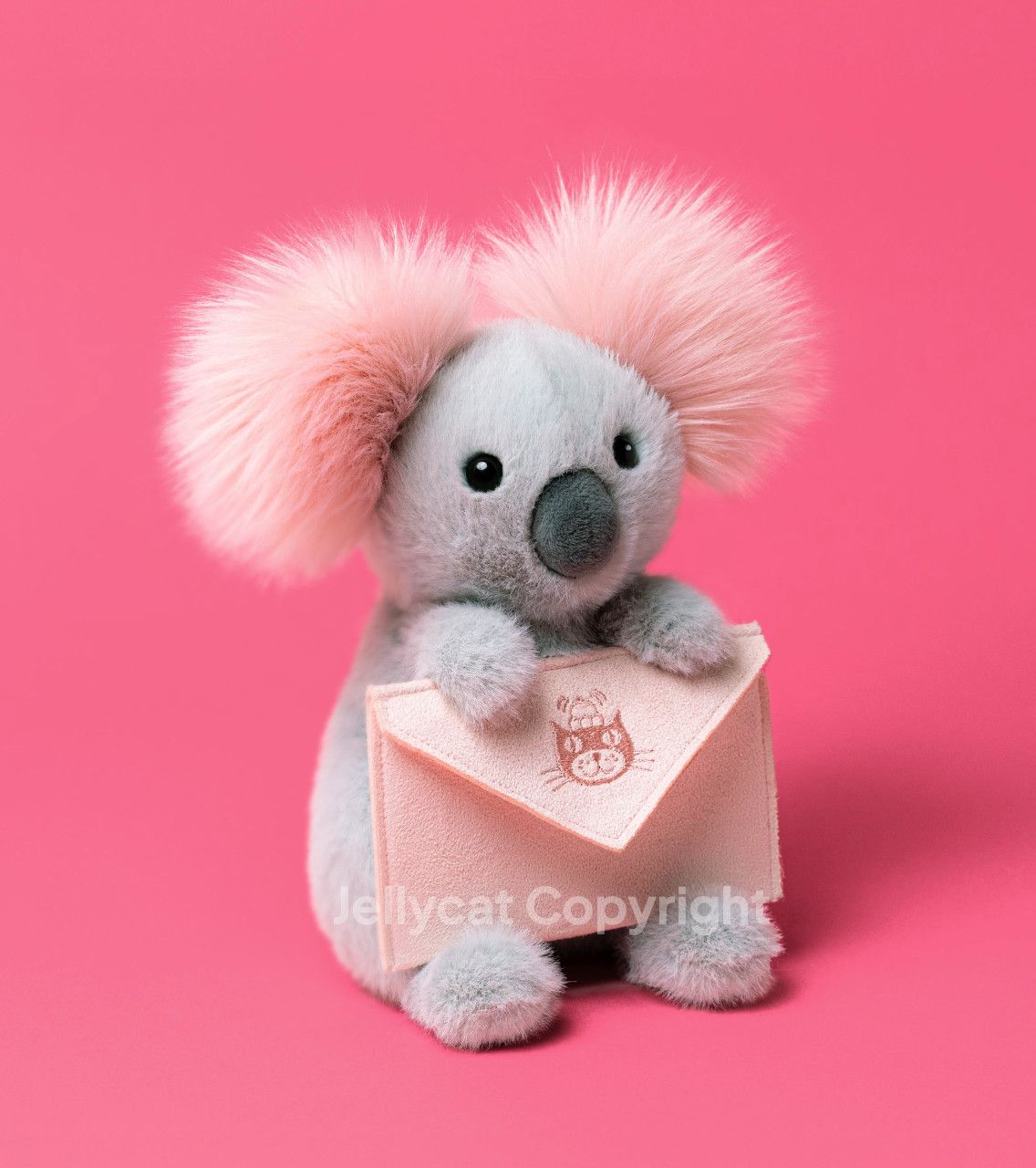 Koala with Message