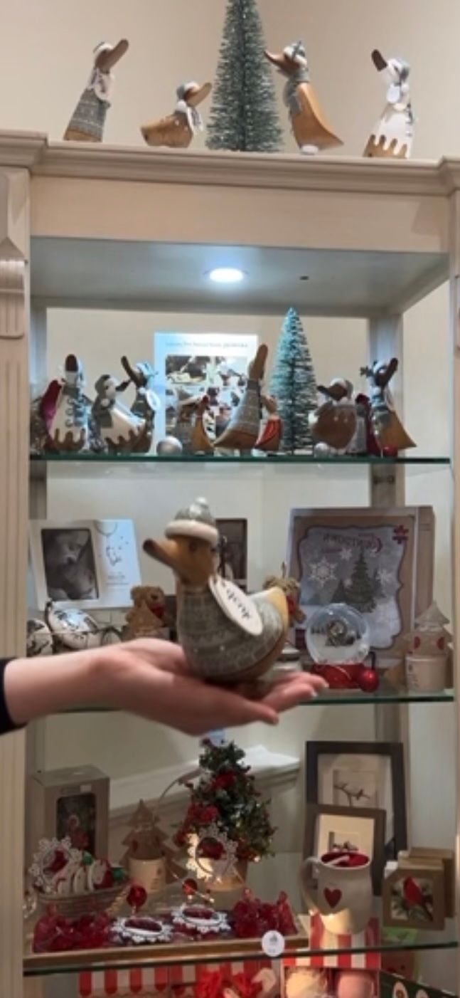 DCUK Alpine Duckys Assortment