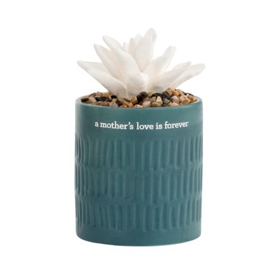 Succulent Oil Diffuser - Mother's Love