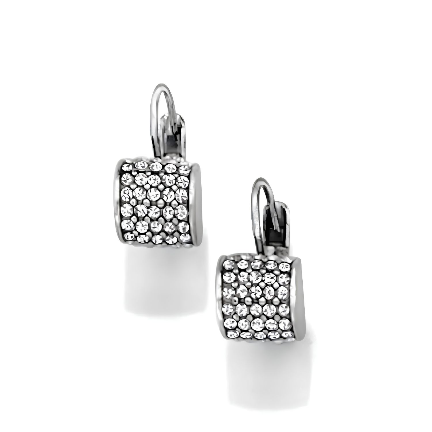 Silver Meridian Leverback Earrings