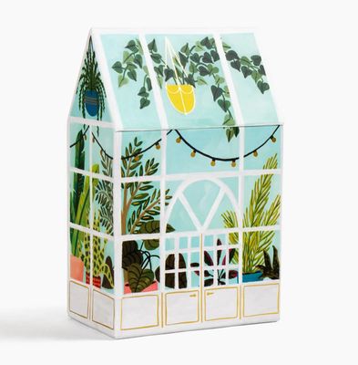 Greenhouse specialty greeting card box set with botanical plant designs for all occasions

