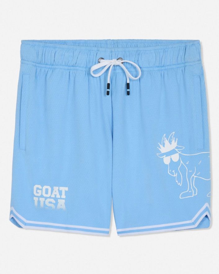 Carolina Blue BIG GOAT Mesh Shorts, Size: Youth Small