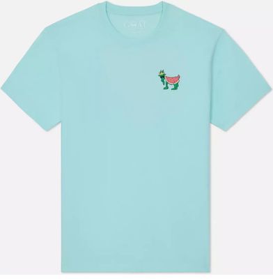 GOAT mint youth watermelon graphic T-shirt with soft cotton fabric and relaxed fit for everyday wear
