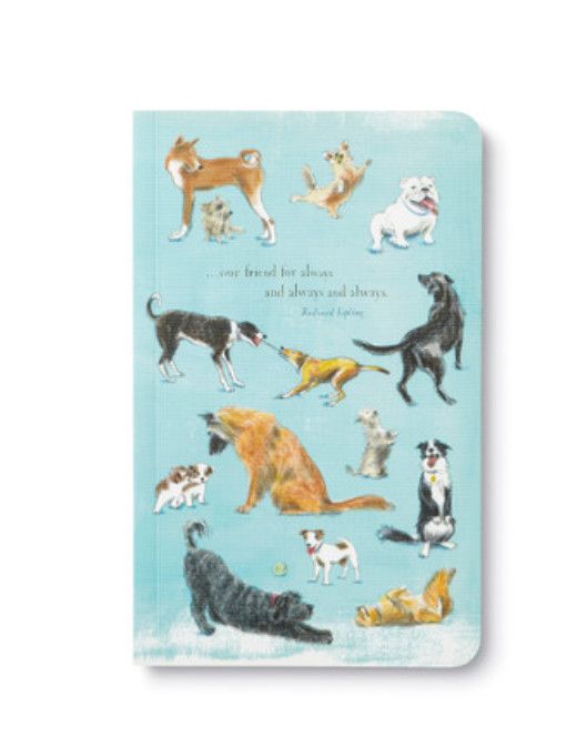 Our Friend For Always Write Now journal with modern design, lined pages, and inspiring quotes for daily thoughts and reflecti