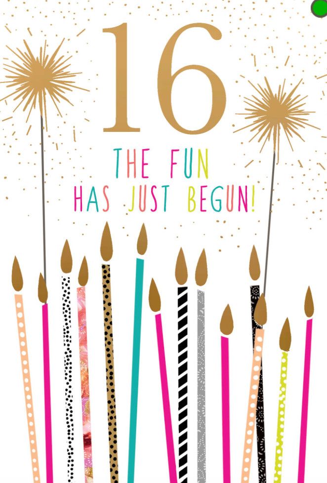 16th Birthday Fun Has Just Begun Card