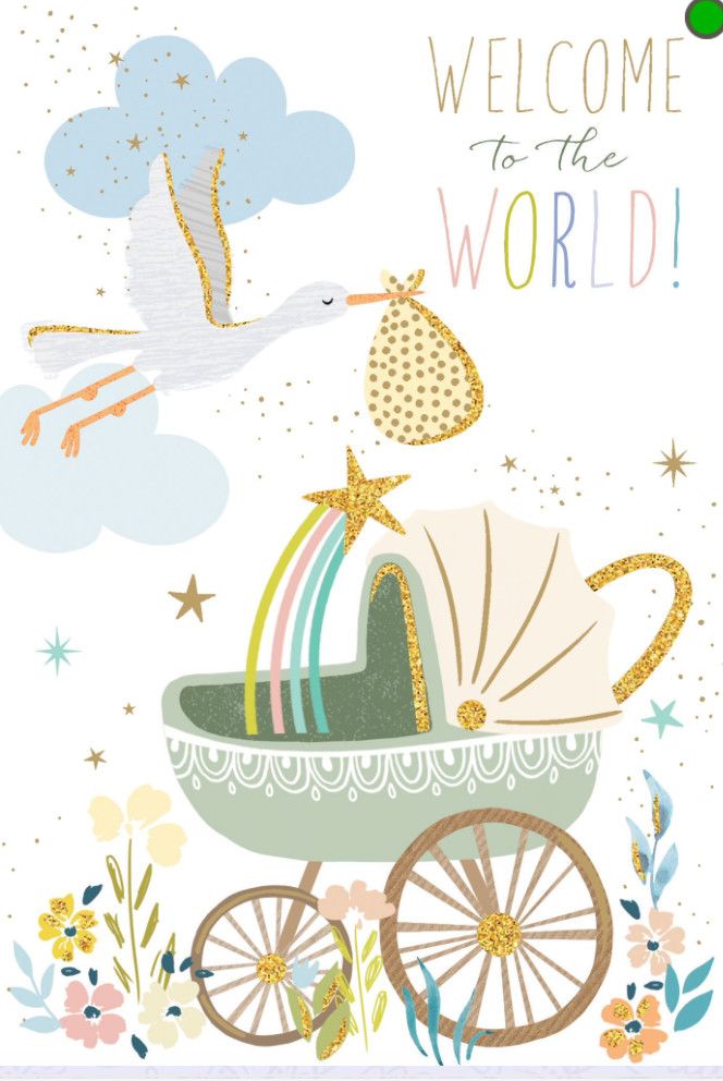 Baby Stork And Stroller Card