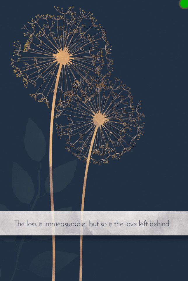 Allium Flower Loss Of Husband Card