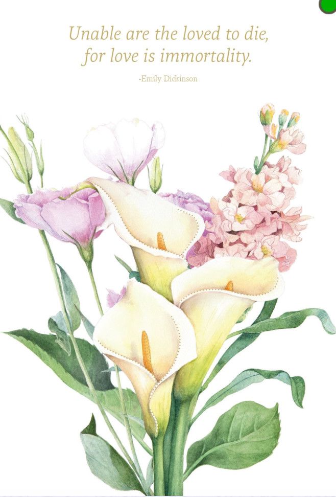 Calla Lilies Sympathy Card