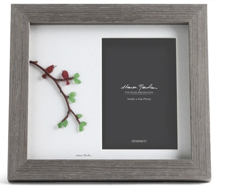 Cardinal Duo Gray Frame - 4x6in
