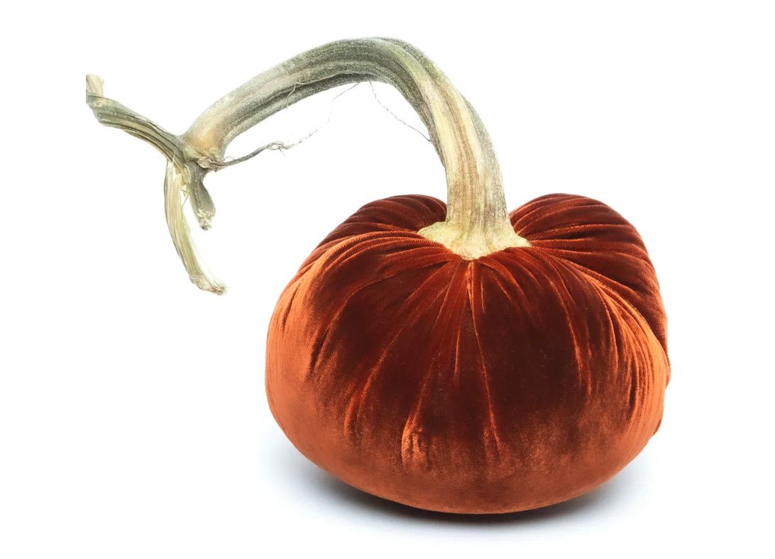 Hot Skwash Pumpkins Crimson 4"