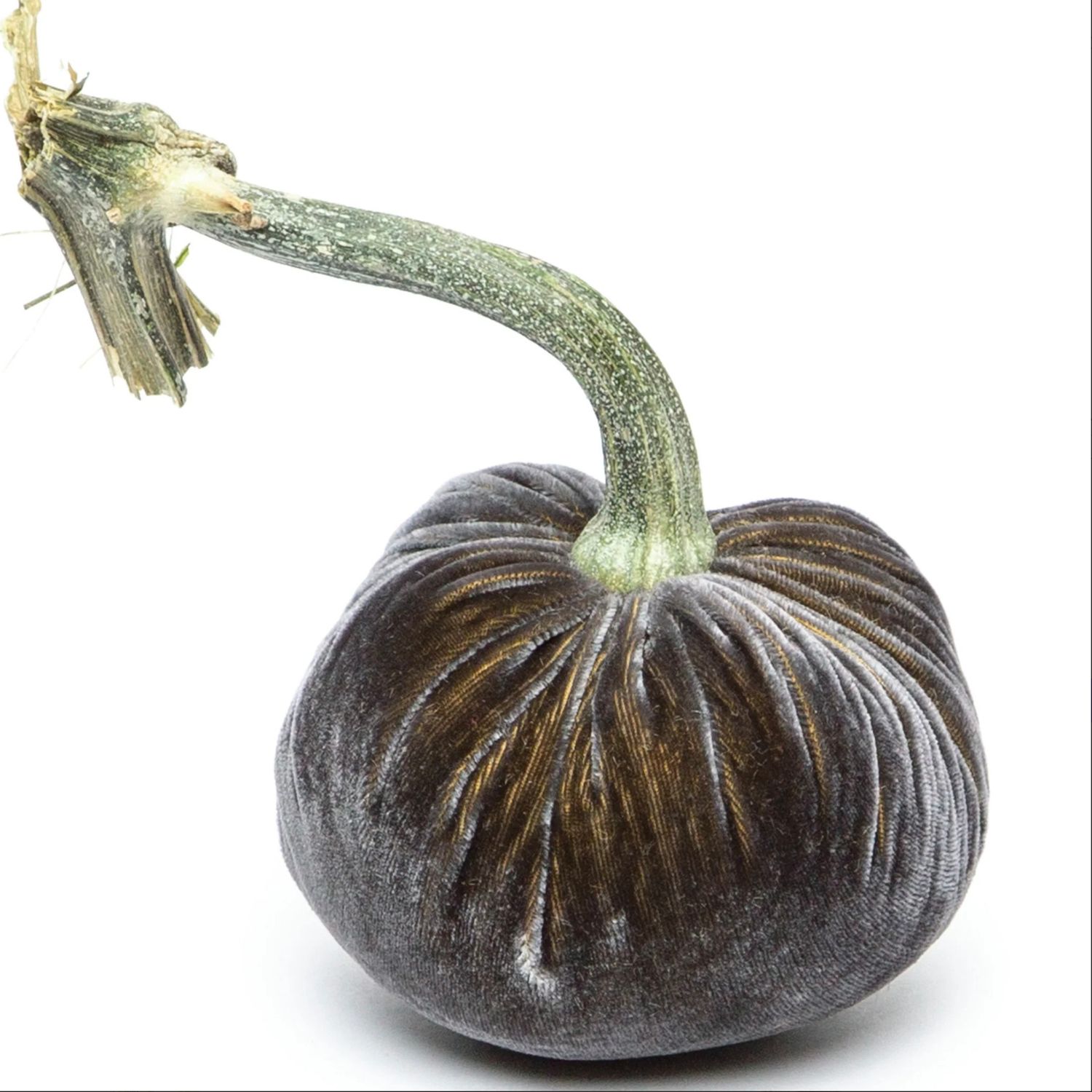 Hot Skwash Pumpkins Graphite 4"