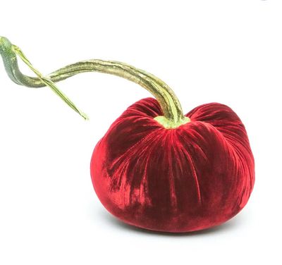 Hot Skwash Pumpkin Cherry 4"