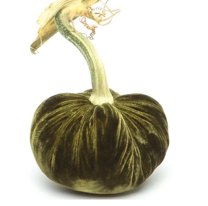 Hot Skwash Pumpkin Moss 4"
