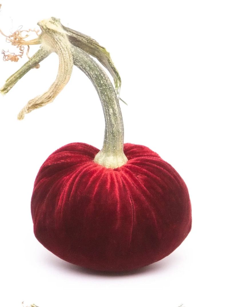 Hot Skwash Pumpkin Cherry 5"