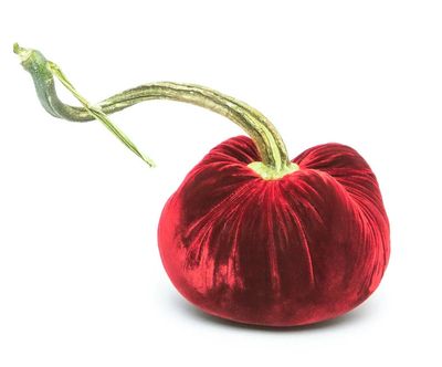 Hot Skwash Pumpkin Crimson 5"