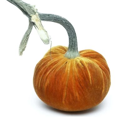 Hot Skwash Pumpkin Burnt Orange 5"