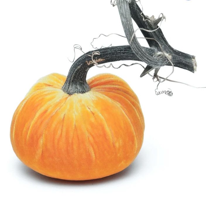 Hot Skwash Pumpkin Carrot 6"