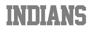 RHINESTONE TRANSFER