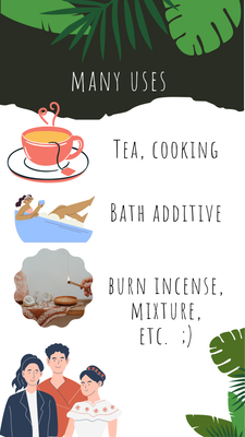 LAVENDEL meets MELISSE & KÖNIGSKERZE - 45 gr.