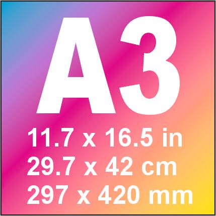 A3 Colour plan print