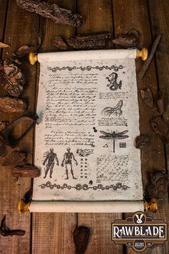 Scholar Scroll Met Lederen Band