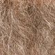Sik Baard Van Dyke, Color: Grey