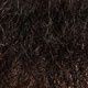 Kinbaard, Color: Black