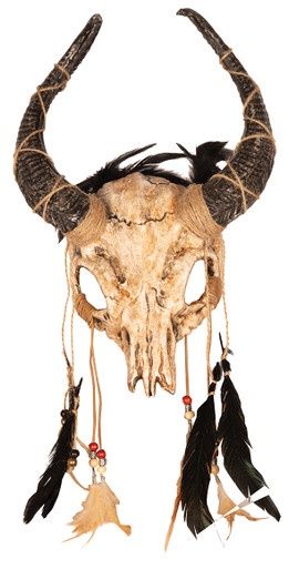 Oogmasker Schedel