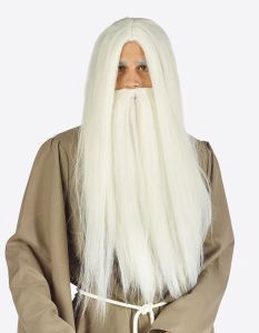 Pruik en baard Tovenaar