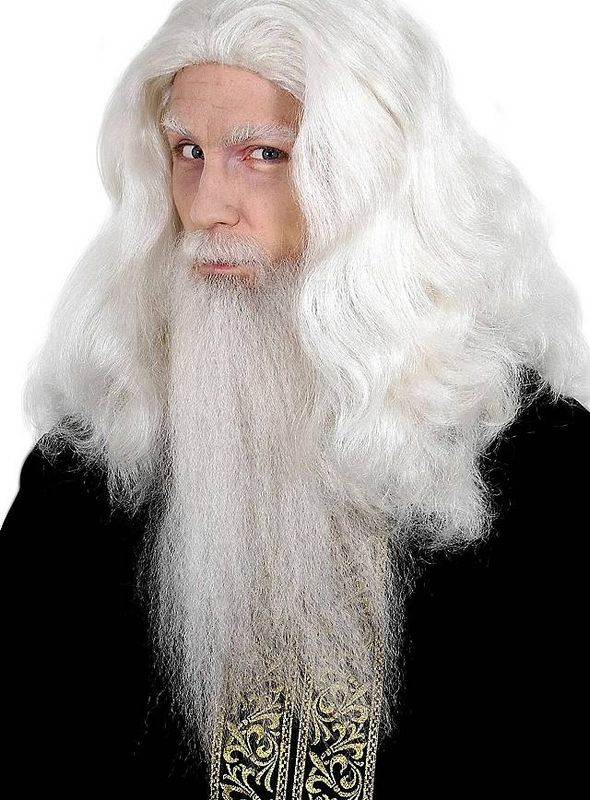 Tovenaarsbaard Met Snor Gemaakt Van Echt Haar