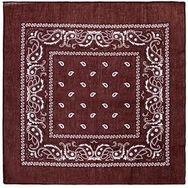 Bandana  Bruin