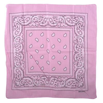 Paisley Bandana
