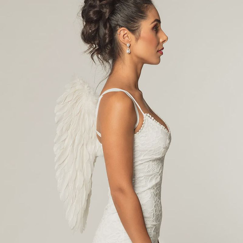 Pluimen Vleugels Divine