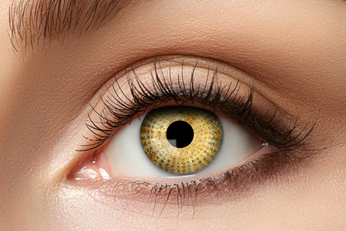 Kleurlenzen Golden Dots
