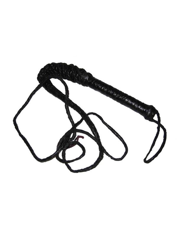 Zweep  Zwart 240 cm