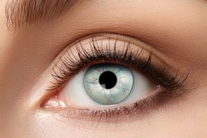 Lenzen  maanden Small Vein Eye